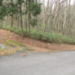 日本一きれいな星空で有名な阿智村にある治部坂地域の別荘地の土地です！　スキー場やゴルフ場・日帰り温泉などレジャー施設も近くにあり、四季折々の自然を感じながら 一年を通してご利用いただけます。特に夏の涼しさは格別！冬の星空は圧巻です！ 画像1